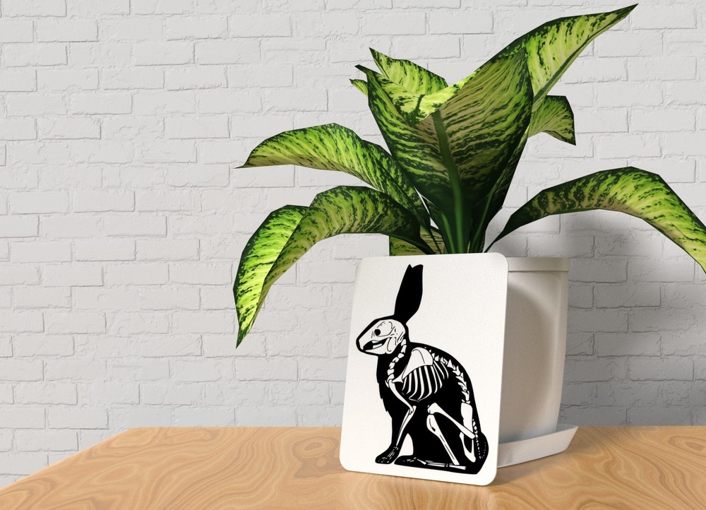 Rabbit | Funny sign For Home or Office