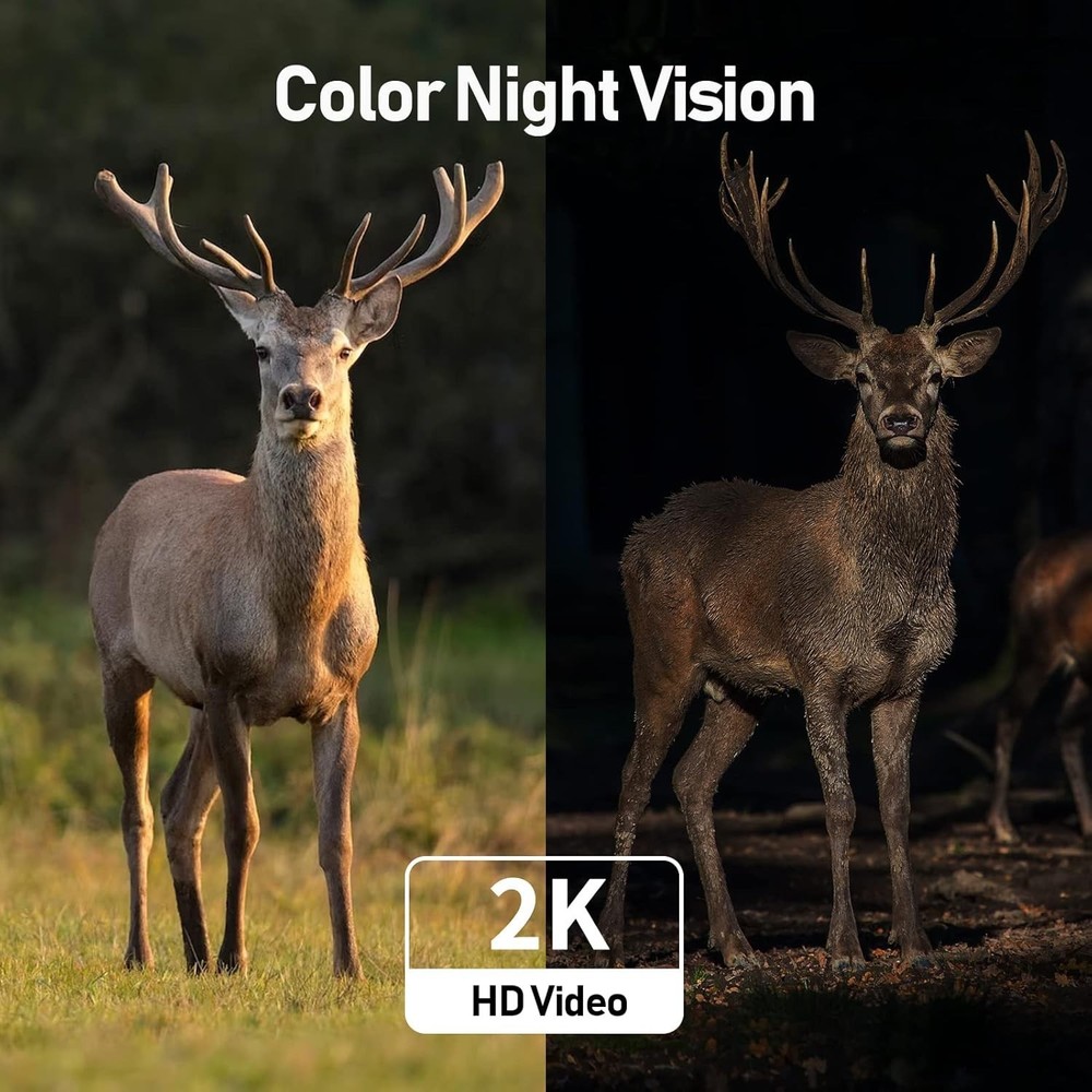 360° View Solar Security Camera - Cellular Connectivity & Water-Resistant Design