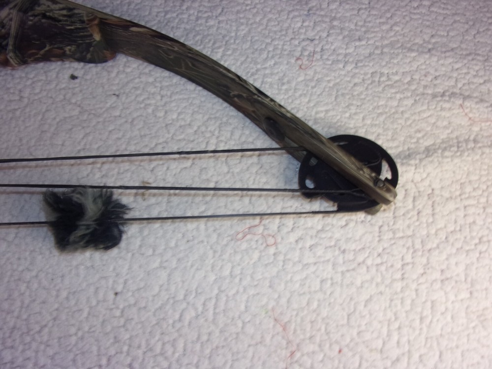 Pro Sport Archery Tom Cat Compound Bow