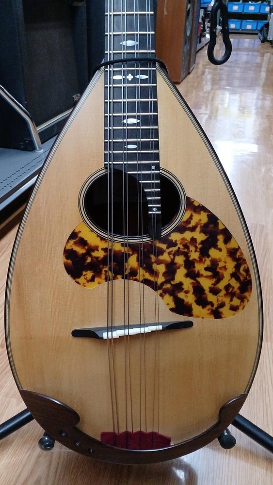 Miyano Mandolin MD-3 BIS Mandolin