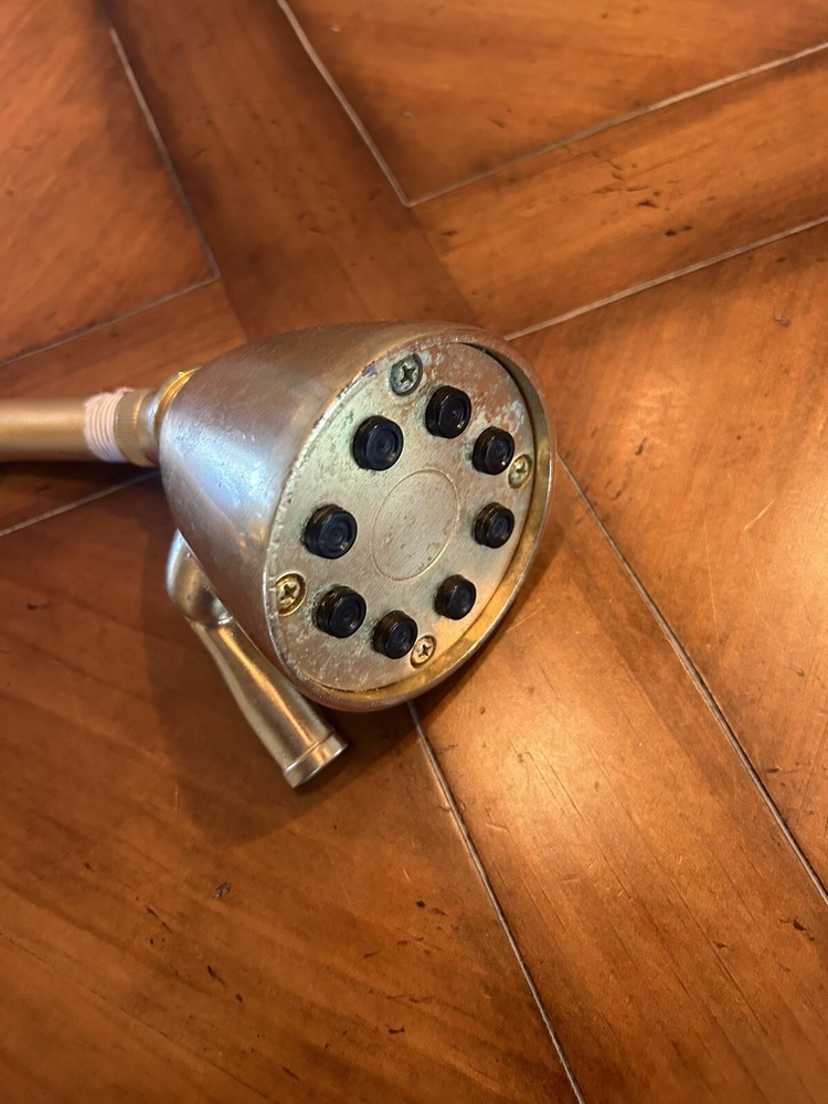 sherle wagner Shower Head Used