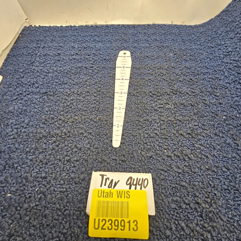 HORSCH 6" RULER WHITE