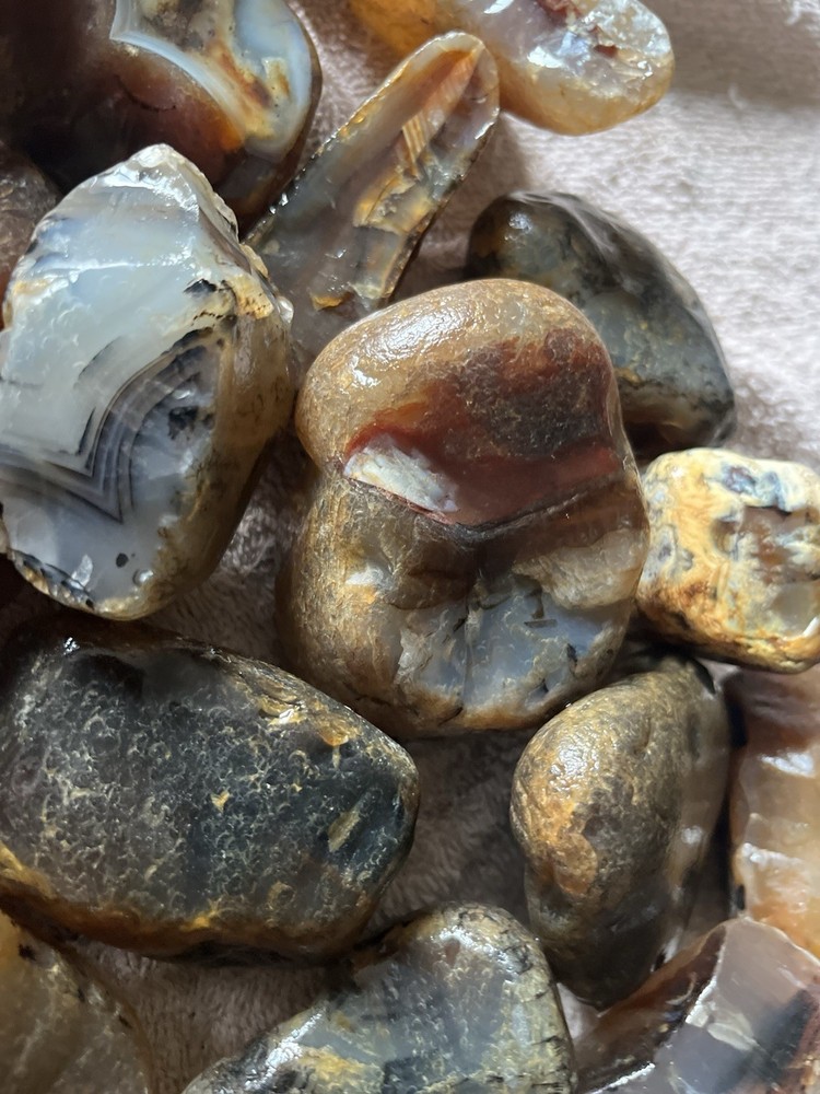 10 Lbs Rough Montana Agate (49)
