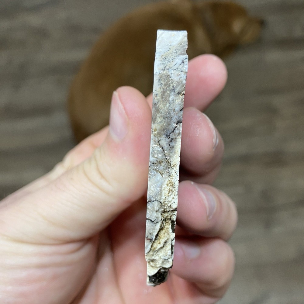 Dendrite Opal Rough Natural Slab 2.17 Oz
