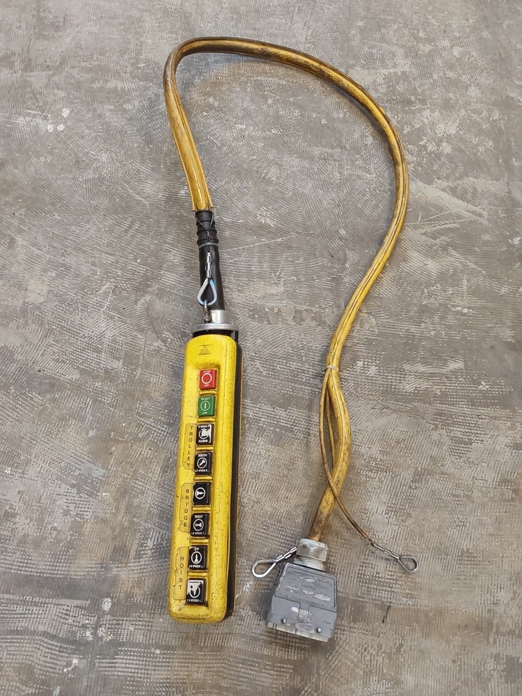 TER PENDANT REMOTE CONTROL FOR HOIST CRANE NEW