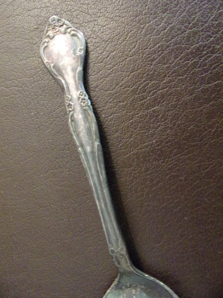 Small Collectible Spoon By Community Silver Plate?