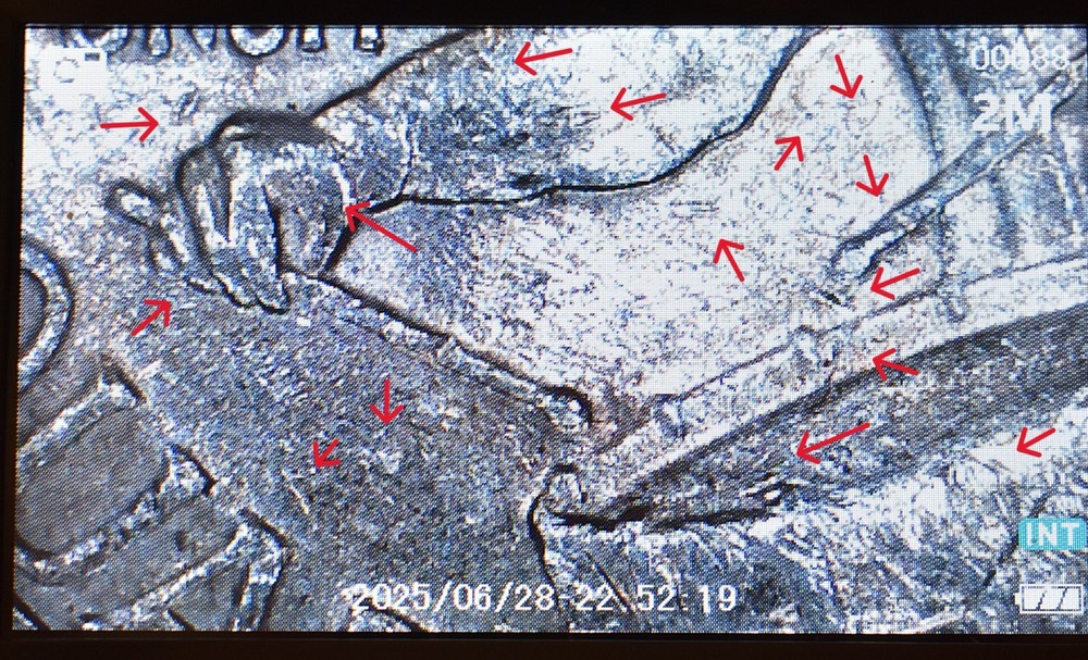 Bicentennial Quarter Error Stike Through with Die Cracks, Chips Closed AM+