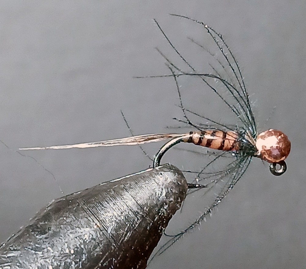 6 Jack Daniel's fly tungsten bead Jack Daniel Perdigon soft hackle