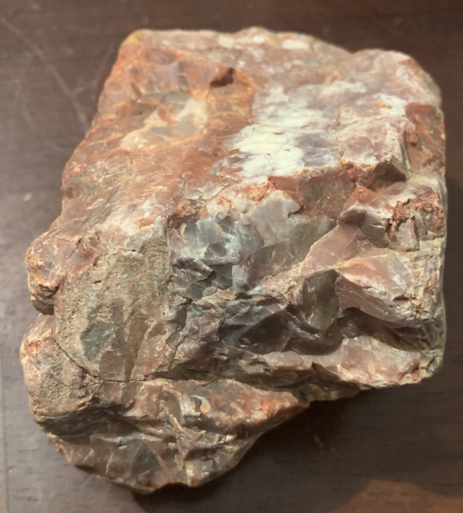 opalized petrified wood Arkansas Fossilized Agate Red