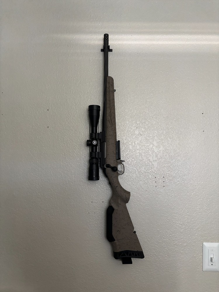 .308 Rifle Wall mount