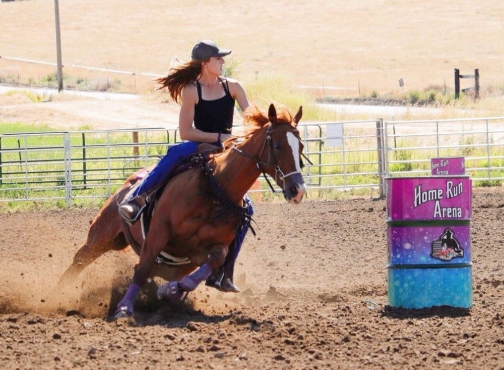 Mule Tape Tripping Collar Black With Simple Headstall