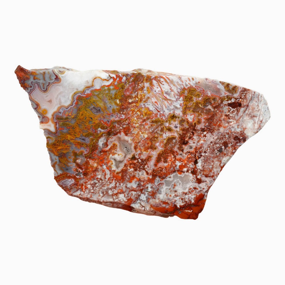 Apple Valley Agate Slab - Multicolor Fortification Tubes Moss