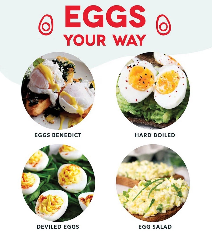 DASH Rapid Egg Cooker: 7 Egg Capacity Electric Egg Cooker for Hard Boiled Eggs,