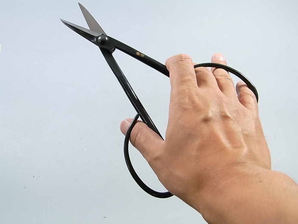 Kaneshin No. 38 Scissors