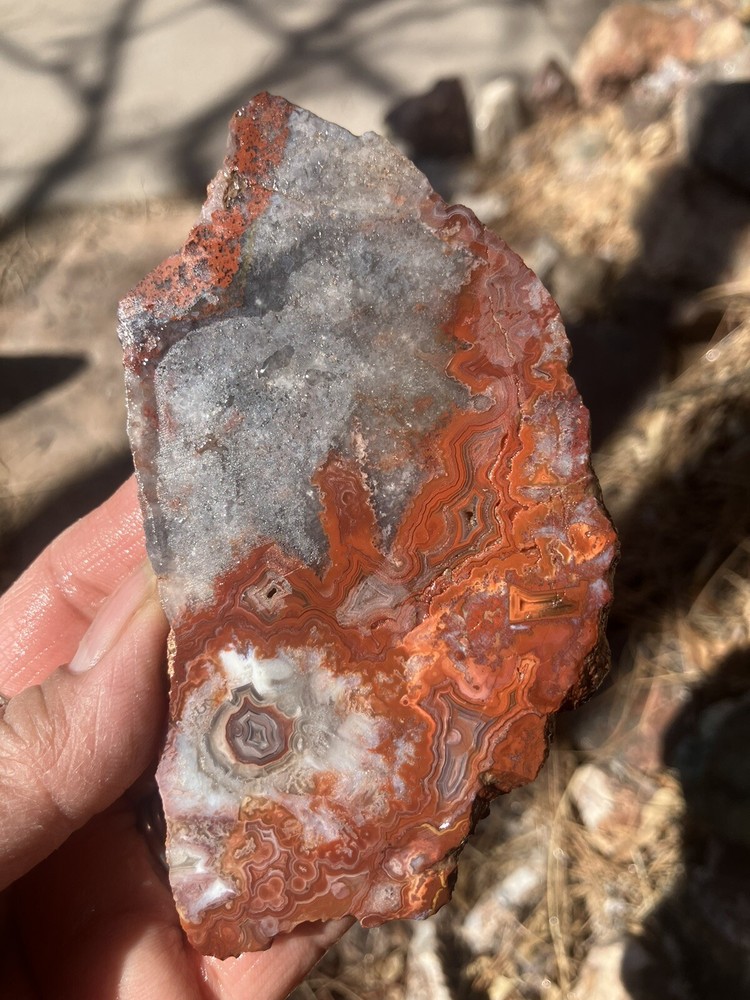 Crazy Lace Agate Slab