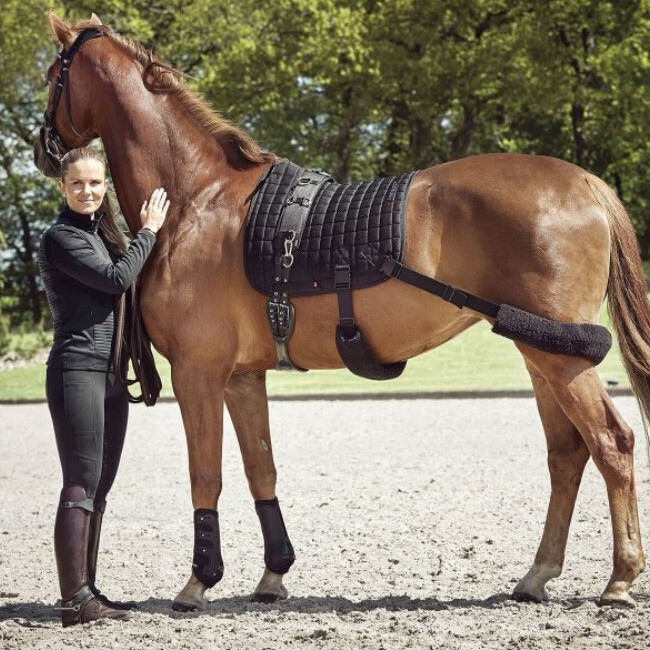 Catago FIR-Tech Training Saddle Pad with Elastic - All Purpose