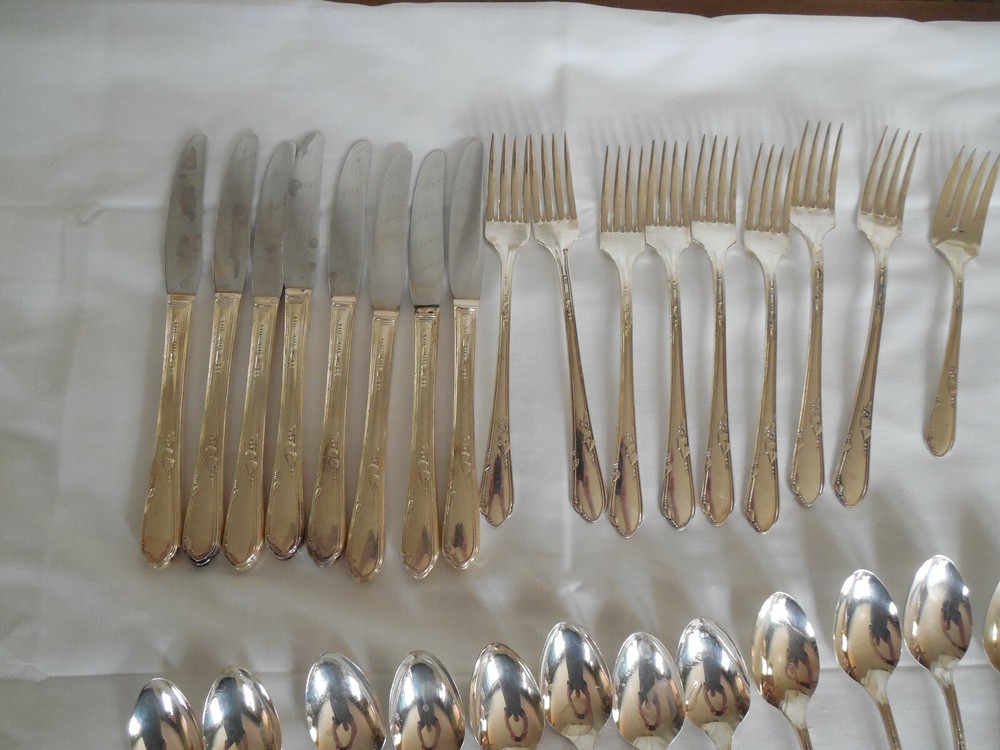 Wm A Rogers Oneida Meadowbrook 44 pieces
