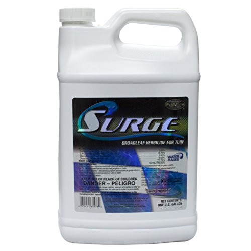 Surge Herbicide - Gallon