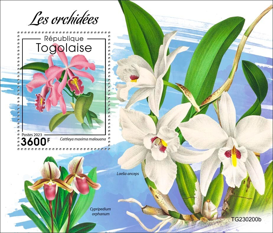 Orchids MNH Stamps 2023 Togo S/S