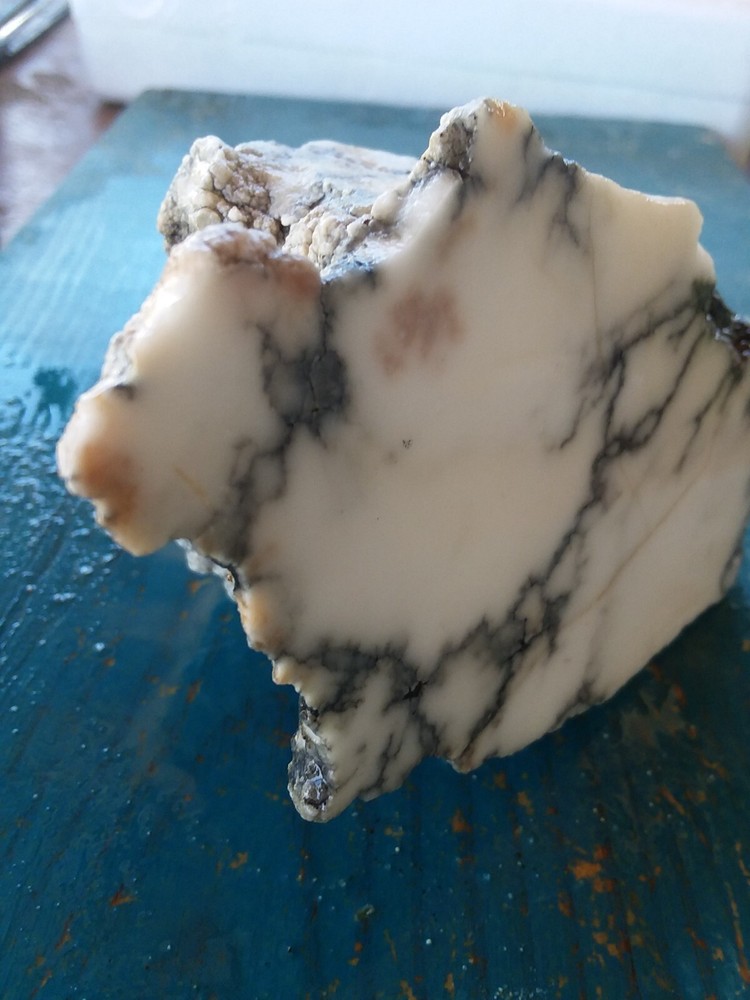 Lapidary Howlite Window Cut Spider Veining Collect Display