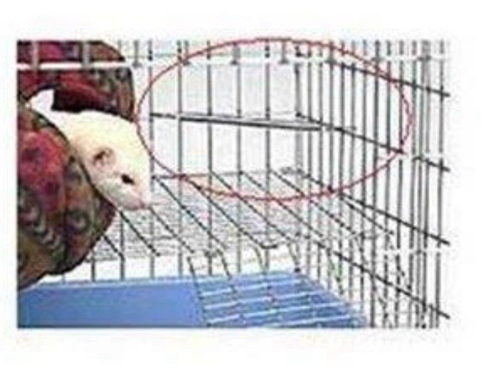 Marshall Ferret Corner Deterrent, 4-Pack