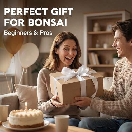 Bonsai Starter Kit – Growing Jacaranda Bonzai Tree | Complete Indoor Tree Kit fo