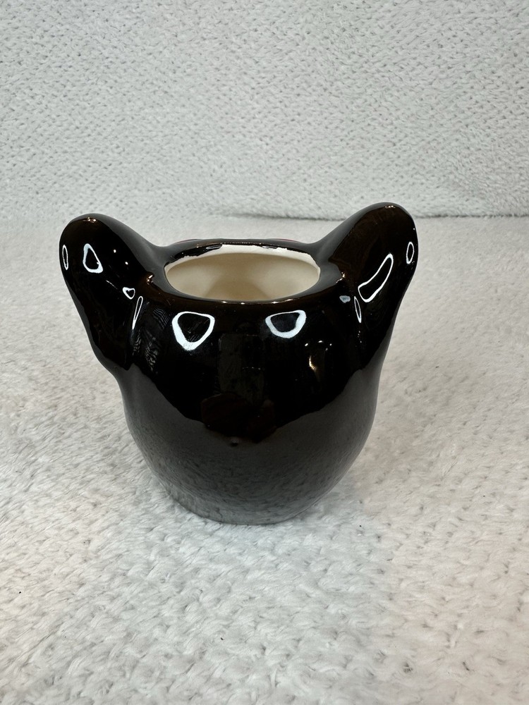 BOSTON TERRIER 🪴 Succulent Planter