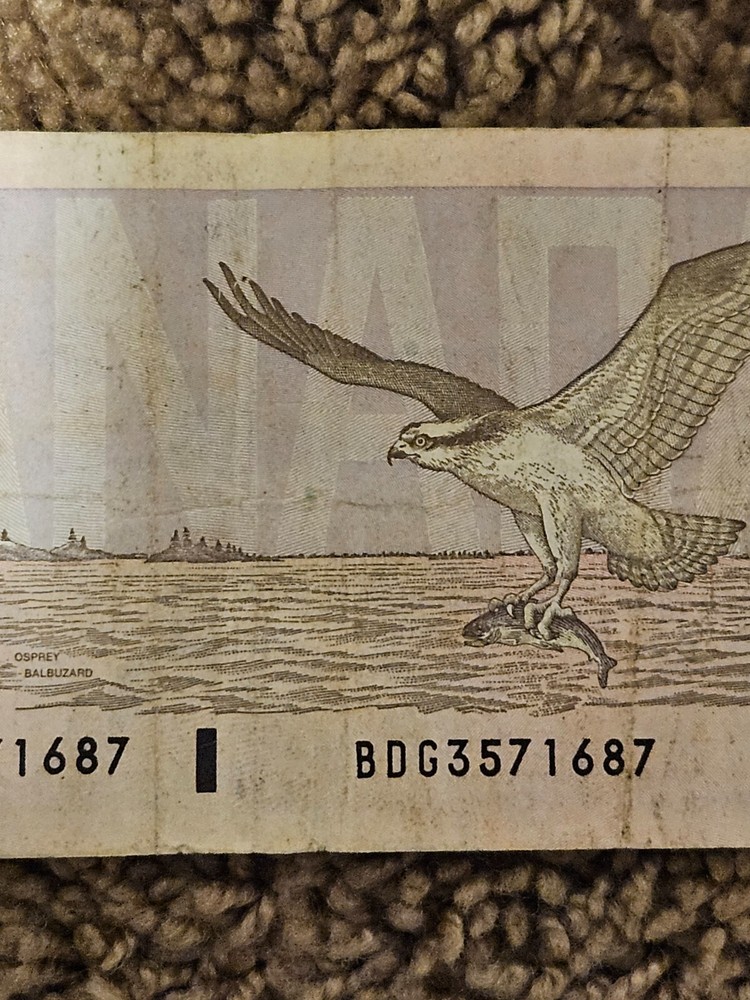 1989 Canadian 10 Dollar Bill