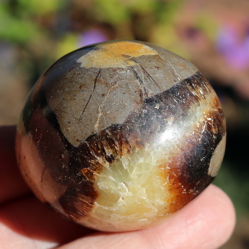 Polished Septarian Nodule (SEP21)