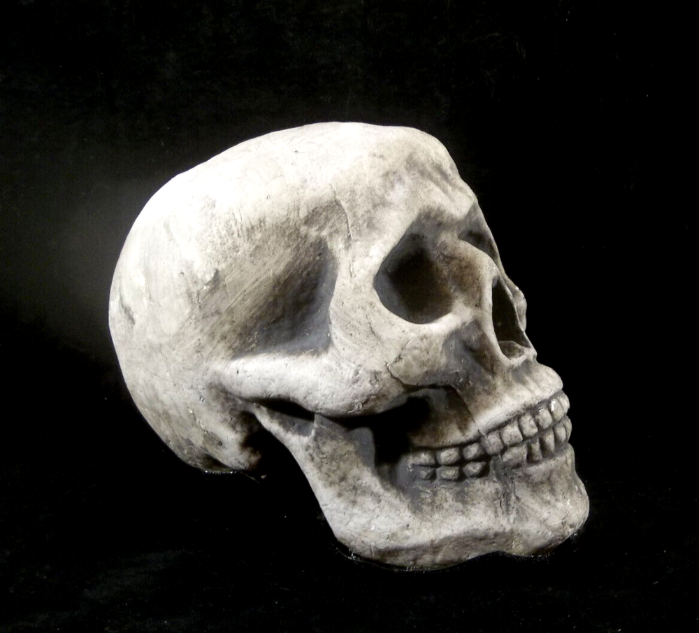 Halloween Styrofoam Skull with 3 Hook and Loop Fastener Strips