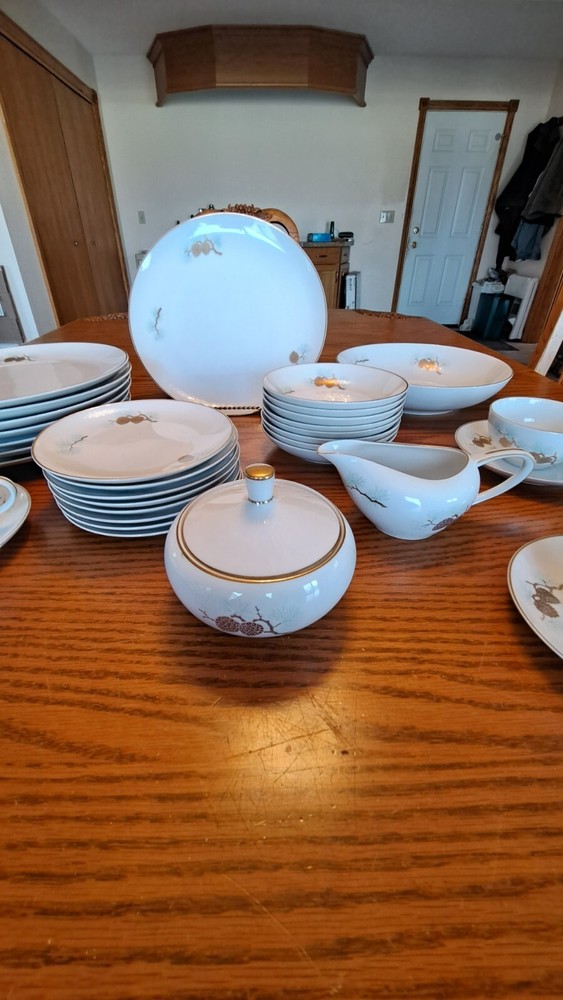Fukagawa Arita Handpainted 41 Piece Grouping Dinnerware Pine Cone Pattern #904