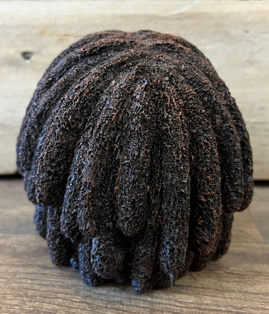 Skull With Dreadlocks Statue 5" x 5.5"