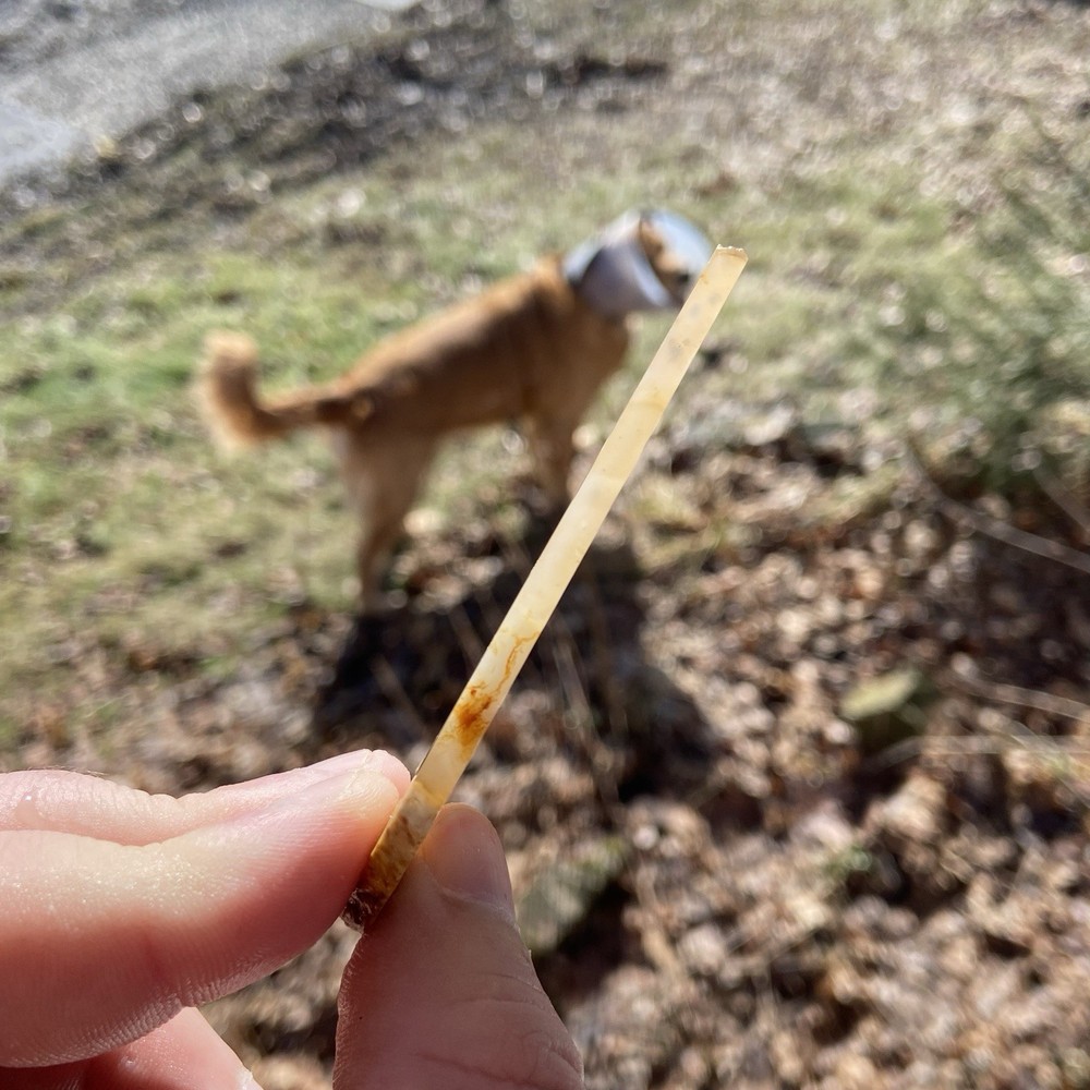 Brecciated Transparent Jasper Slab