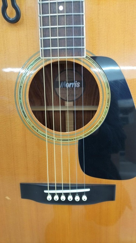 MORRIS MD-510 Acoustic