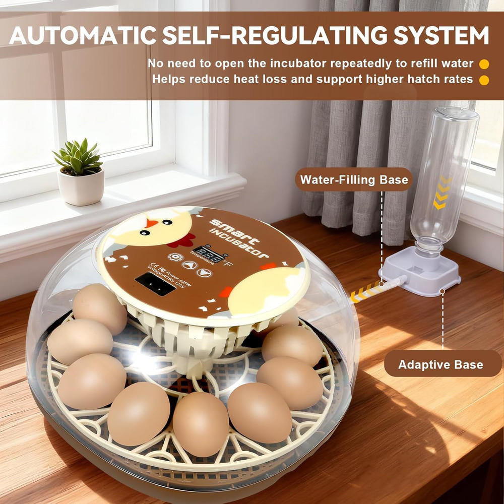Simple 12-Egg Incubator for Beginners, Auto Egg Turn, Steady Self-Regulating Hum