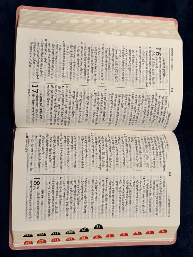 Punjabi Bible
