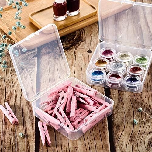 Small Plastic Containers with Hinged Lid - 24 Pack