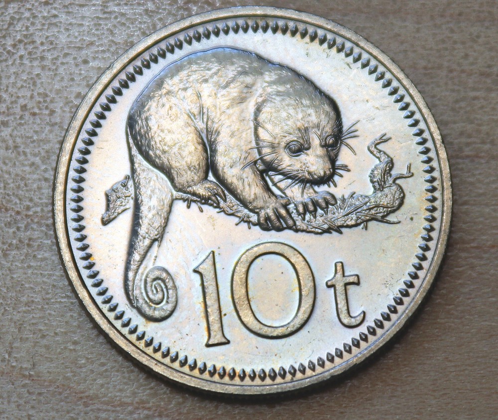 1977 Papua New Guinea 10 Toea Spotted Cuscus