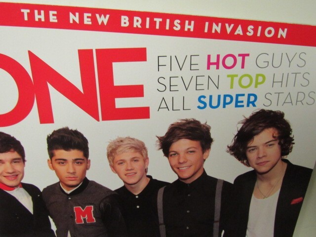 2012 One Direction: What Makes You Beautiful Book