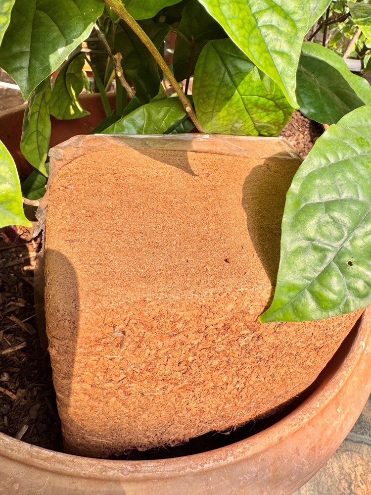RootEarth Coco Peat Block 2.2lb Expands 10lb Low EC Washed Coir Growing Medium