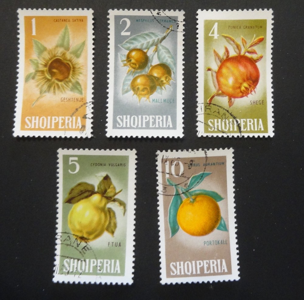 Albania, Fruit, CTO/OG - 1965 (640)