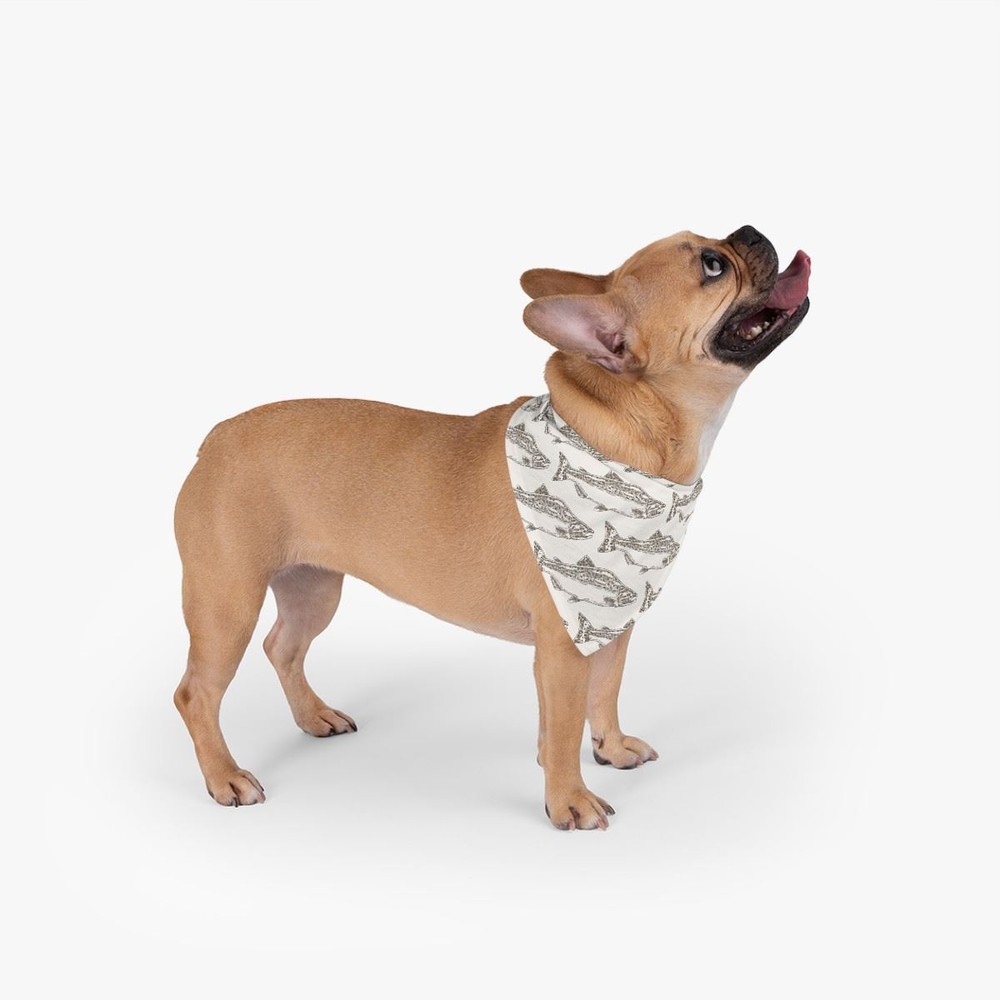 Pet Bandana -Salmon Cream