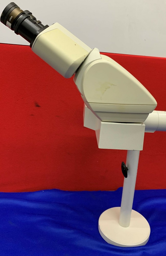 Leica Ergonomic Binocular Microscope Head 501504 10x EyePieces