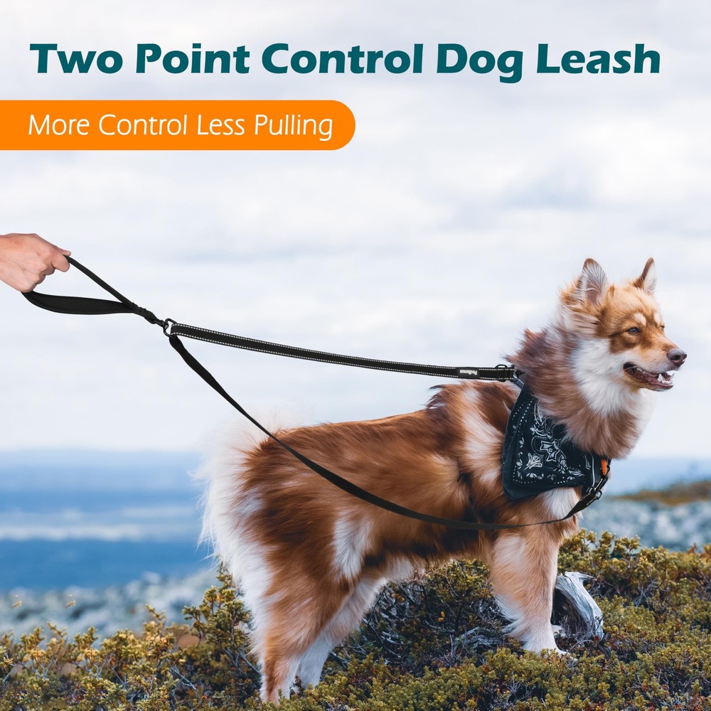 Two Point Control Dog Leash, Works with No Pull Harnesses, No Tangle Training...