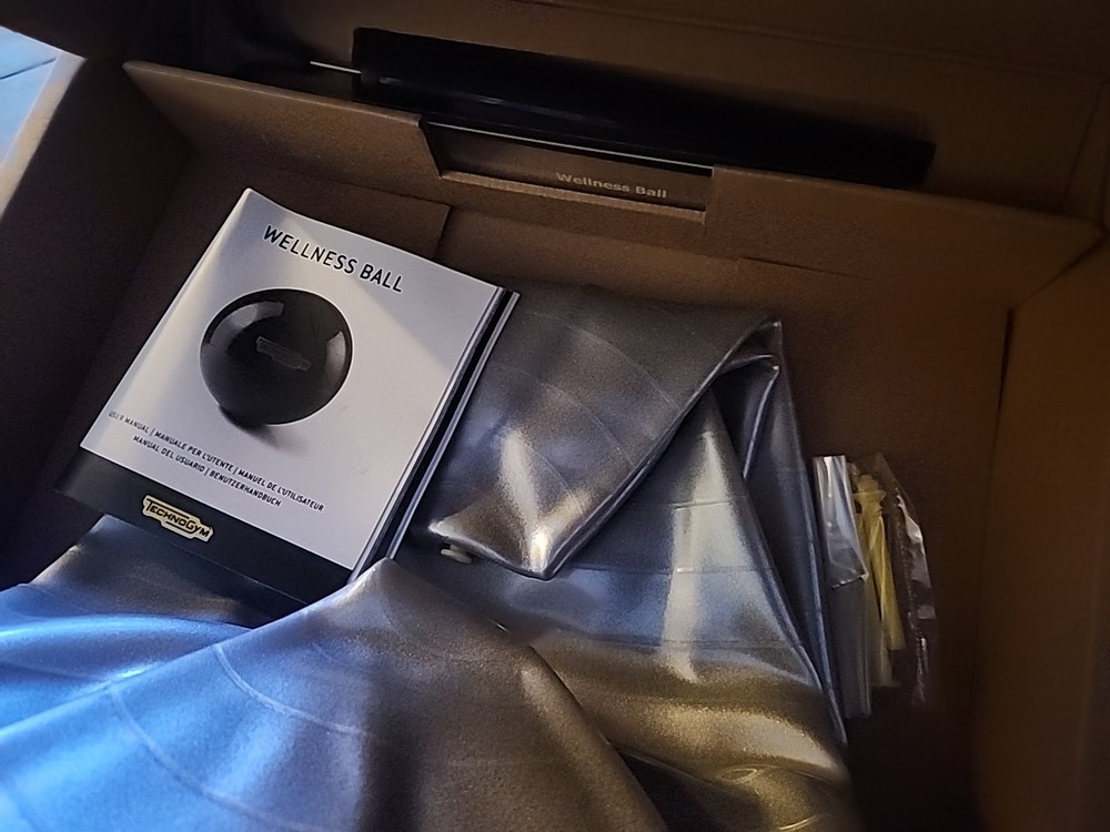 TECHNOGYM WELLNESS BALL