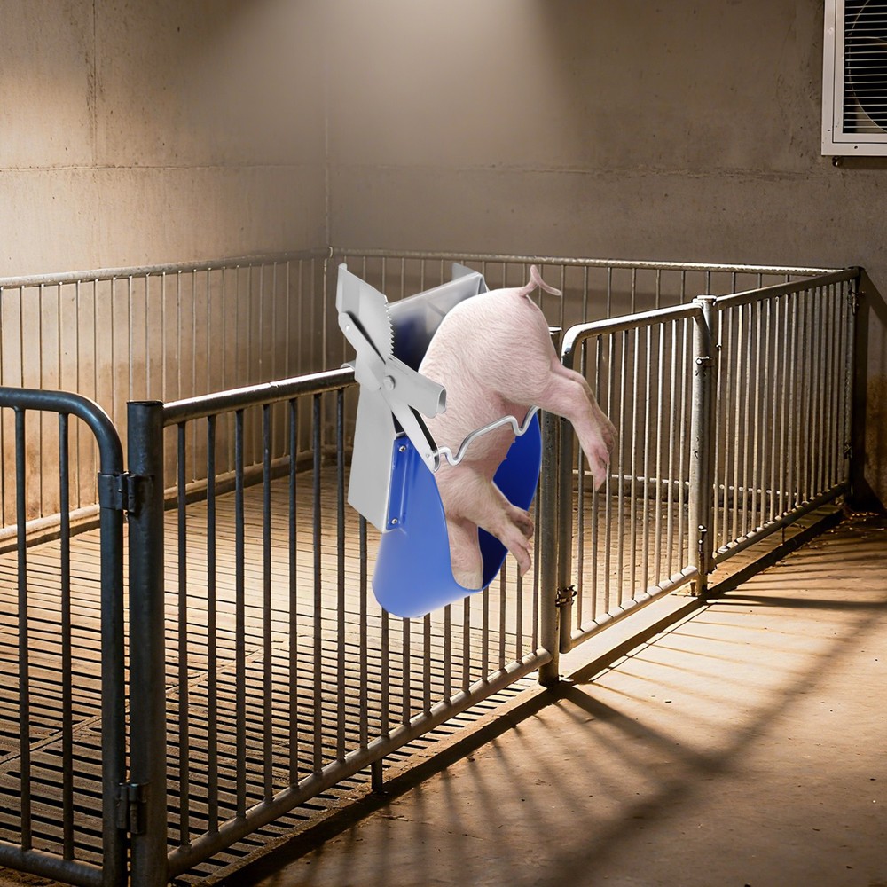 Piglet Castration Rack Pig Sterilization Tool Veterinary Tool Pig Frame | Small