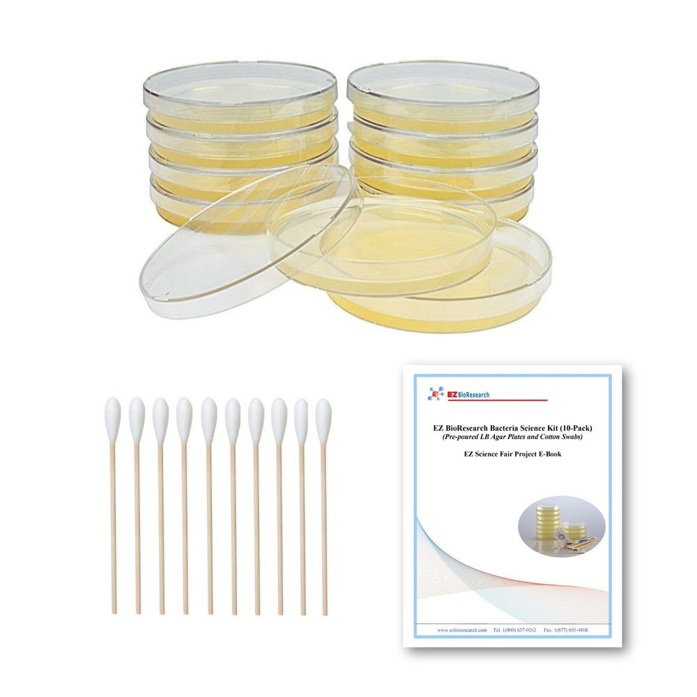 EZ BioResearch Bacteria Science Kit (IV): Top Fair Medium, Clear