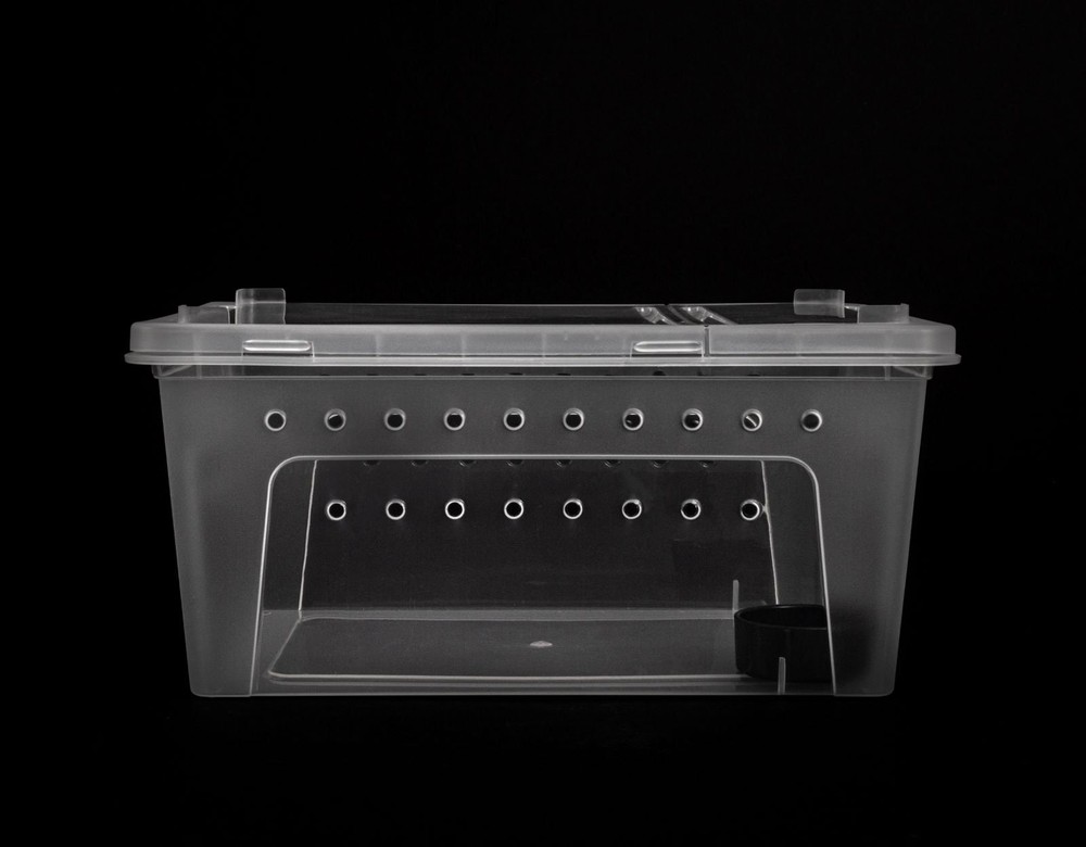 2 PACK Large Clear Stackable Invertebrate & Reptile Keeper Box