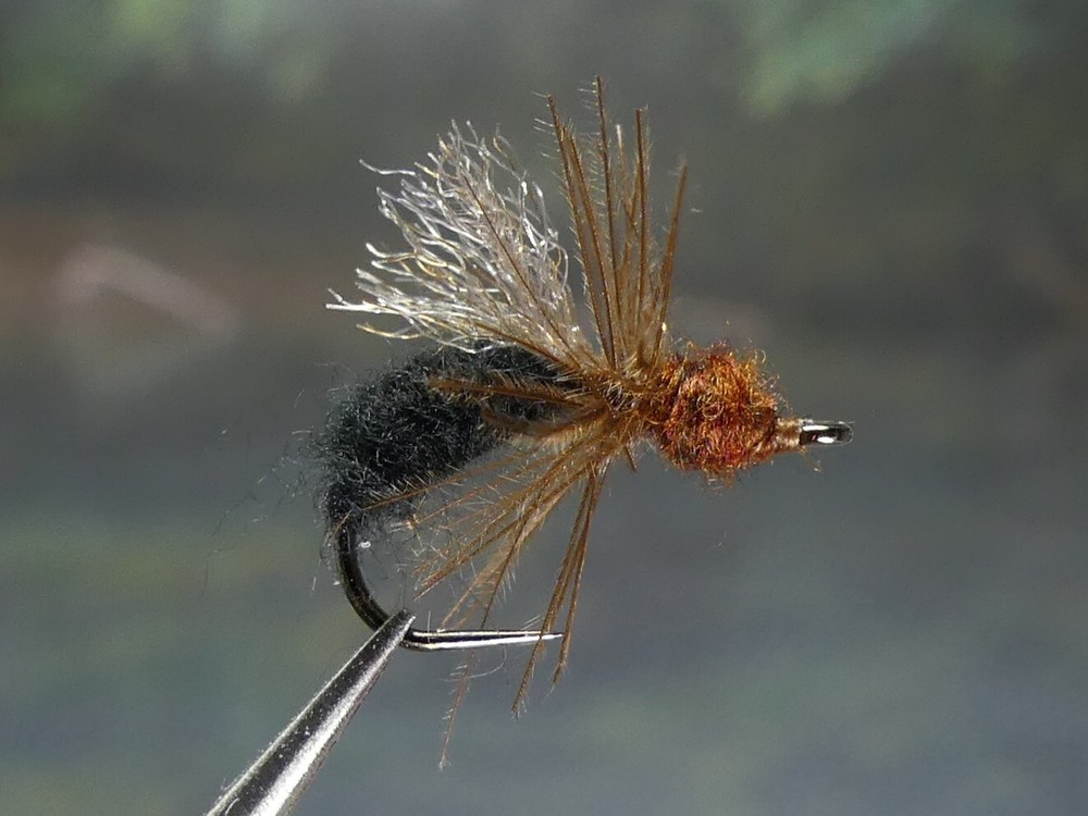 6 Flies - CDC Detect Ant Brown