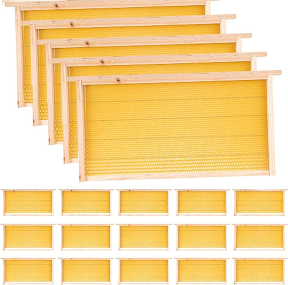 Deep Brood Bee Hive Frames and Wax Foundations,20 Pack Honey Bee Frames